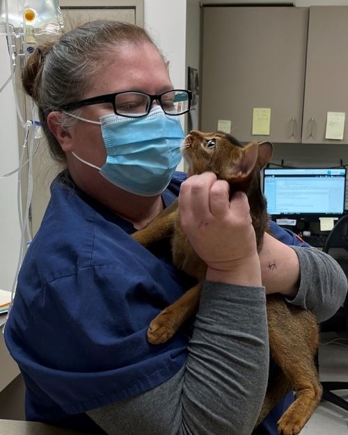 Hayla - Licensed Veterinary Technician