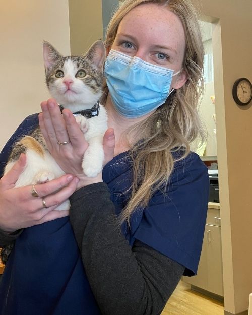 Veterinarian Holding a Cat