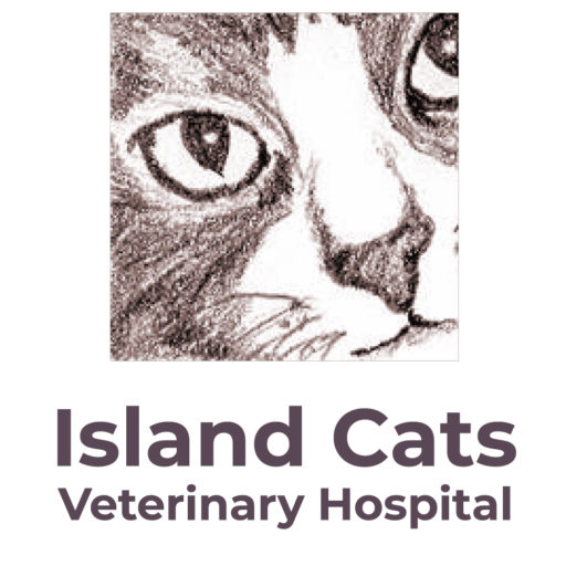 Island Cats Veterinary Hospital