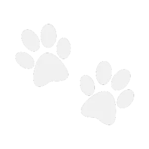 Cat Diagnostics Icon