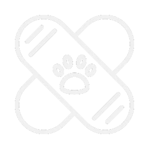 Cat Surgery Icon