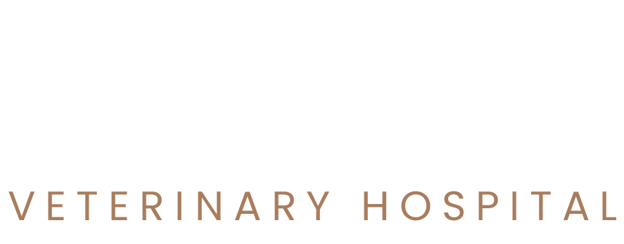 Island Cats Veterinary Hospital logo