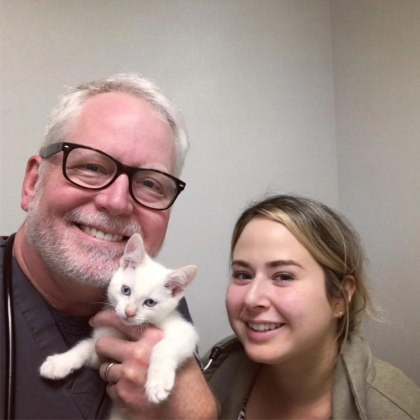 A smiling veterinarian and a pet owner pose with a small white kitten that has blue eyes, inside an exam room at Island Cats Veterinary Hospital.